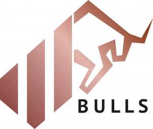 Bulls Girişim Sermayesi Yatırım Ortaklığı A.Ş.